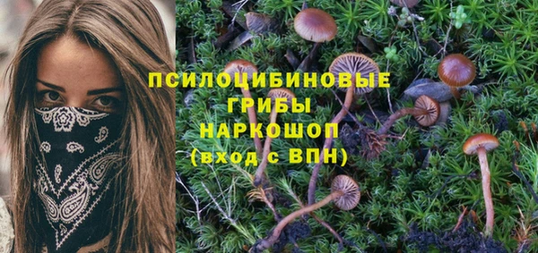 крисы Володарск